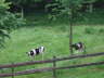 H��tenwochenende Laurenzius-H�sle 2007 009
